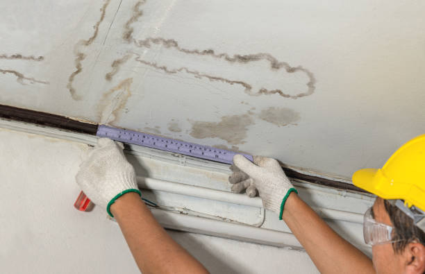 Reliable Water Damage contractor in Monticello, UT by Water Damage Irwin